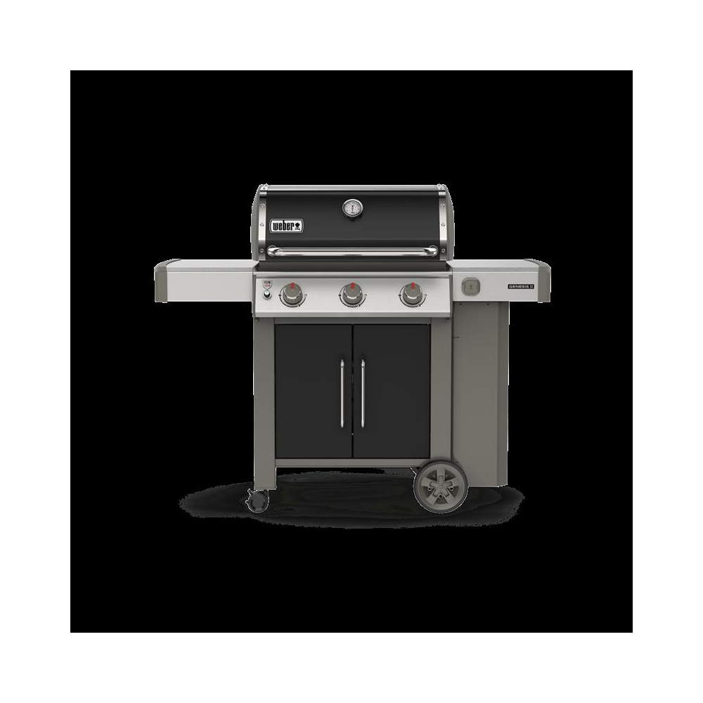 Weber Genesis II E 315 GBS 1.096 25