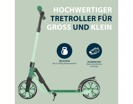 HUDORA BigWheel&reg; 205 Advanced pine