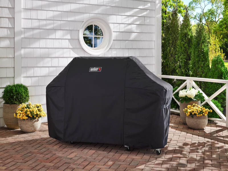 Weber Summit FS38 E Gasgrill 3.999 00