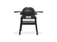 Weber Q1200N Gasgrill mit Stand und Seitentischen