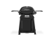 Weber Q2200N mit Rollwagen Black Gasgrill