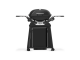 Weber Q2200N mit Rollwagen Black Gasgrill