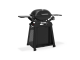 Weber Q2200N mit Rollwagen Black Gasgrill