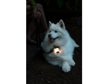 Ledlenser ML4 WarmLight Laterne