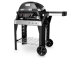 Weber PULSE 2000 Rollwagen, Black