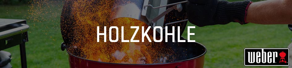 Holzkohlengrill